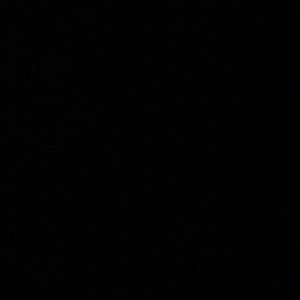 Meet your Posher, Greta